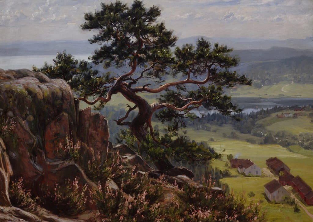 Vista su Vardåsen